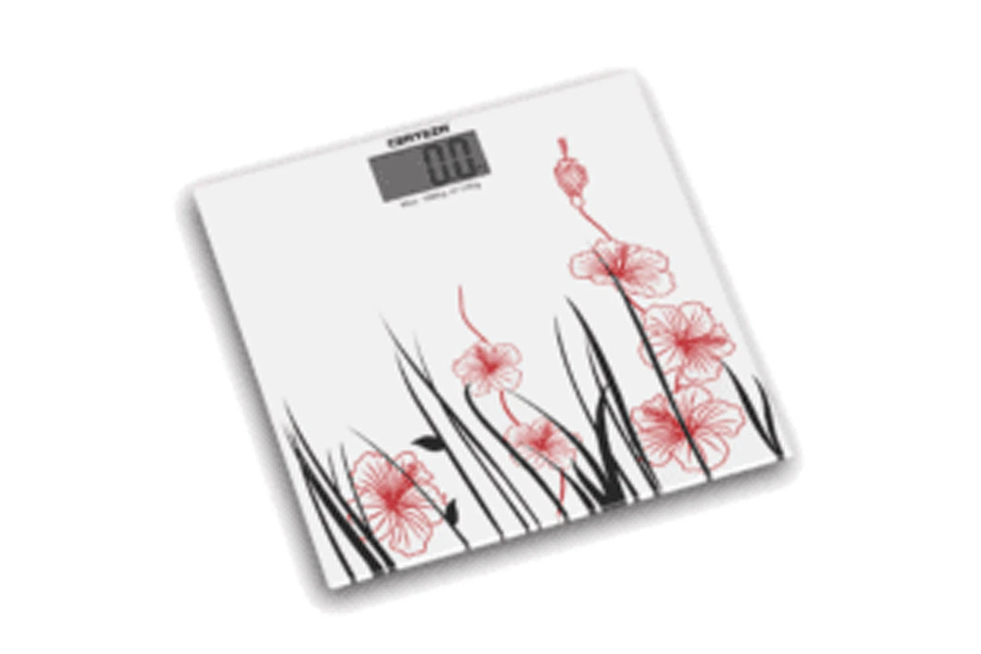 GS 808 Certeza: Integrating Advanced Technology