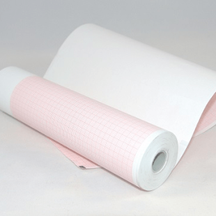 12 Channel ECG Roll 210mm