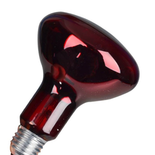 Infrared Bulb Price in Pakistan