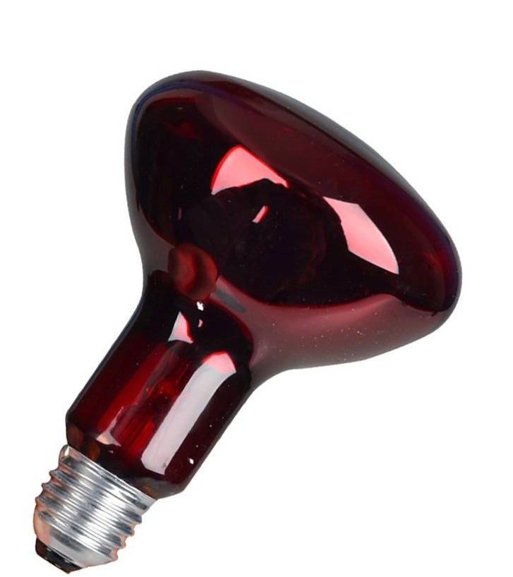 Infrared Bulb Price in Pakistan